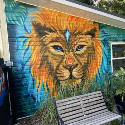 Adobe-Graffiti-Lounge-Kava-Bar-Bradenton-Florida-3