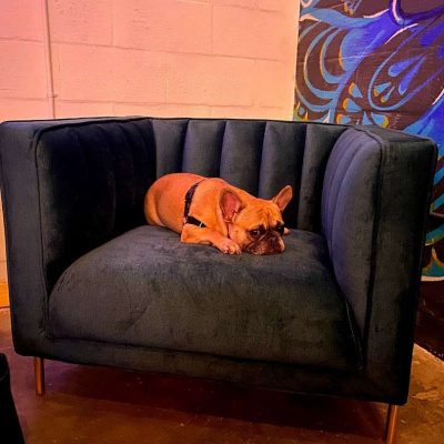 Hakuna-Makava-Kava-Bar-West-Palm-Beach-Florida-4