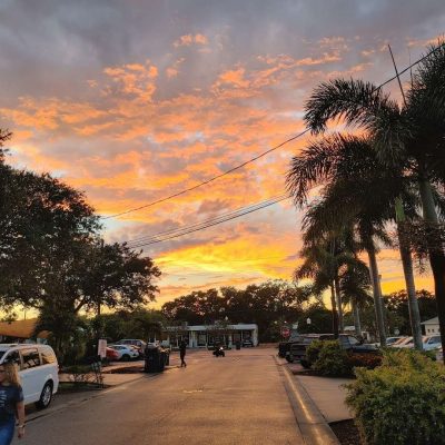 Island-Root-Kava-Bar-Stuart-Stuart-Florida-4