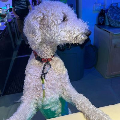 Island-Vibes-Kava-Bar-Stuart-Florida-3