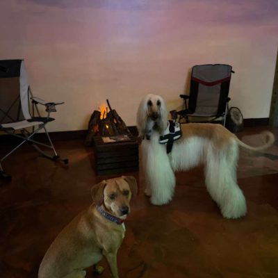 Kamp-Kava-Davie-Florida-3