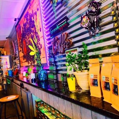 Kava & Company - Mandarin