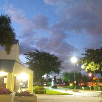 Kavasutra Kava Bar - Delray Beach