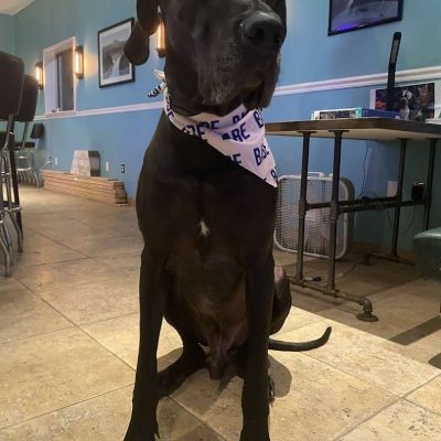 Midtown-Kava-Lounge-Tallahassee-Florida-3