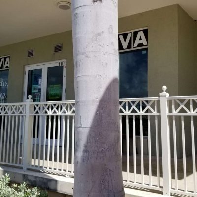 Native-Kava-Boynton-Beach-Florida-3