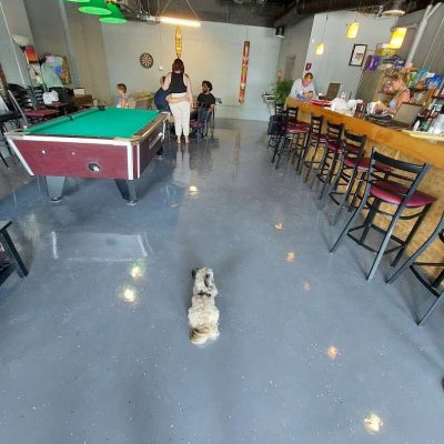 Native-Kava-Boynton-Beach-Florida-4