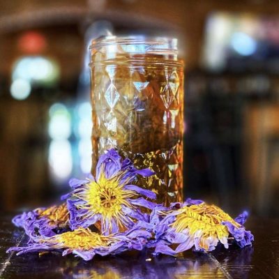 Pause-at-131-Swinton-Kava-Bar-Delray-Beach-Florida-3