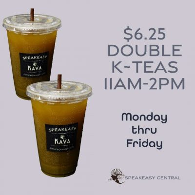 Speakeasy-Central-Kava-Bar-St-Petersburg-Florida-3