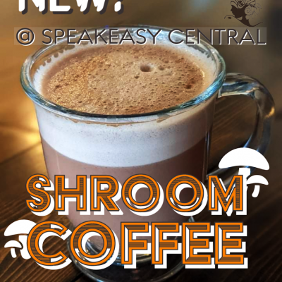 Speakeasy-Central-Kava-Bar-St-Petersburg-Florida-4