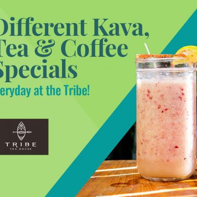 Tribe-Tea-House-and-Kava-Bar-Kenneth-City-Florida-4