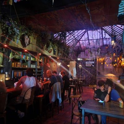 Twisted-Roots-Kava-Brewery-Hollywood-Florida-3
