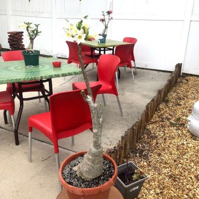 Zen City Herb N’ Compound